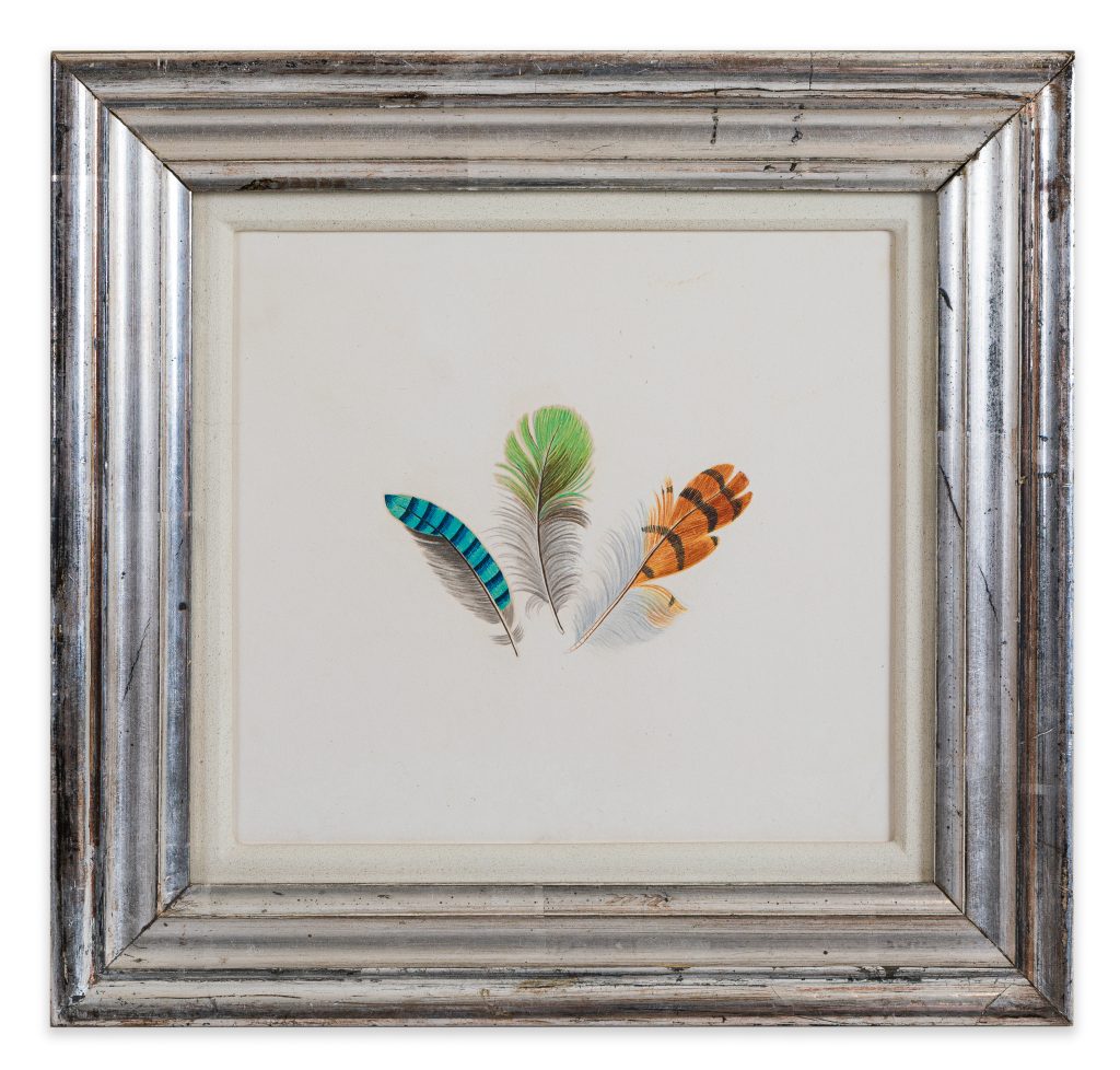 “Chinese Export Painting of Feathers, Qing Dynasty (c.1880)”