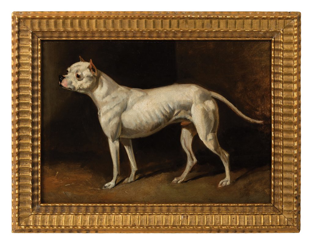 “Rattler (c.1840)”